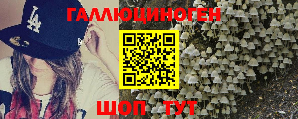 Галлюциногенные грибы Cubensis Корсаков